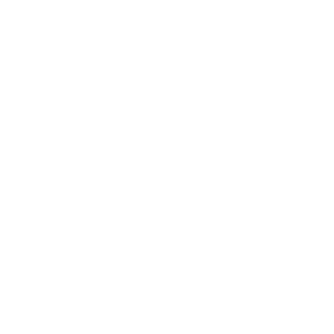 Car repair icon