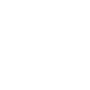 Body shop icon